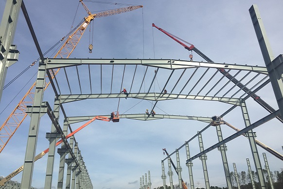 碧桂園森林城市